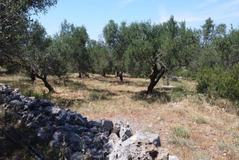 Kalathas Kreta, Kalathas: Grundstück mit Meerblick in der Nähe des Strandes zu verkaufen Grundstück kaufen